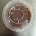 Best Tiramisu in Greensboro, NC